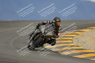 media/Jan-14-2023-SoCal Trackdays (Sat) [[497694156f]]/Turn 12 (120pm)/